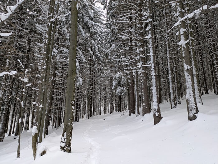 turcianska zahradka - chata pod chlebom