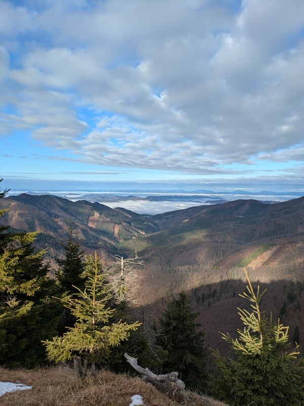turcianska zahradka - hnilicka kycera