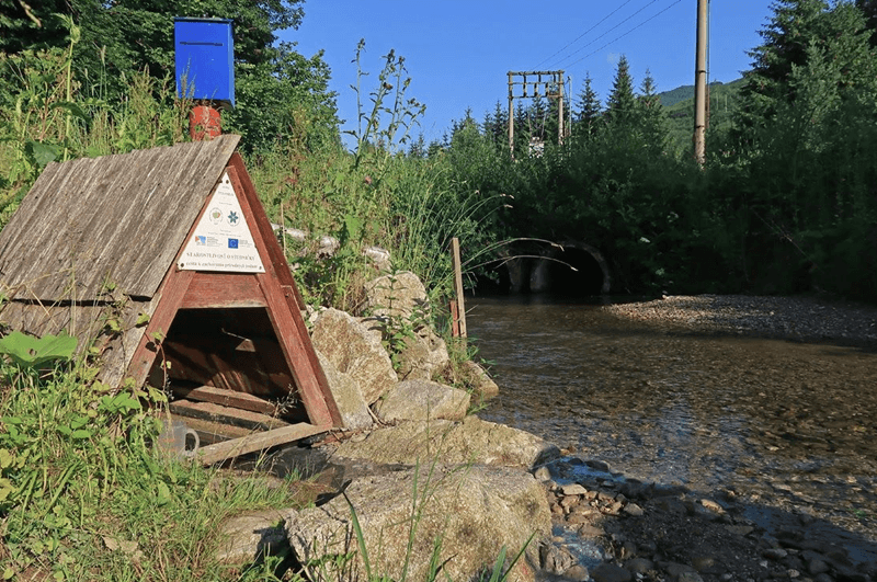 turcianska zahradka - hnilicka kycera