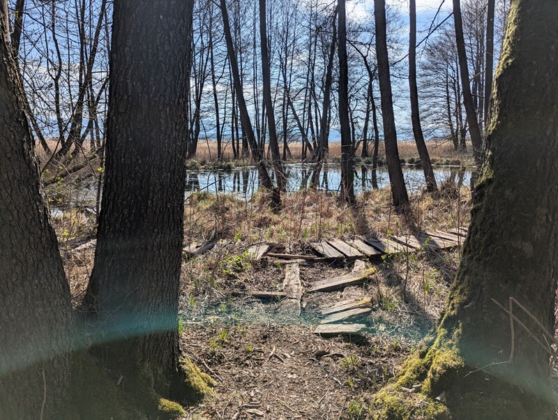 turcianska zahradka - jazernica chodnik