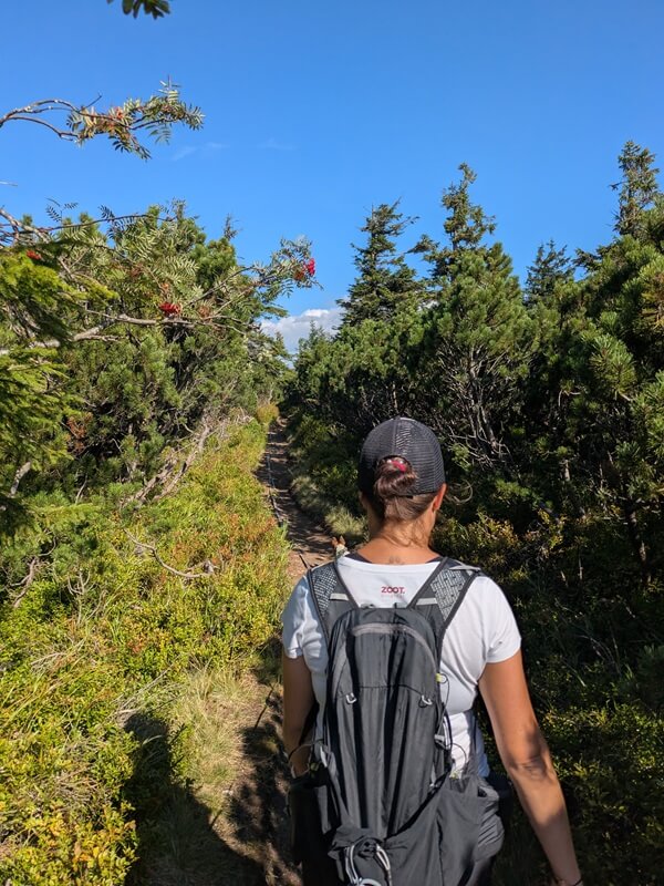 turcianska zahradka - mincol utulna