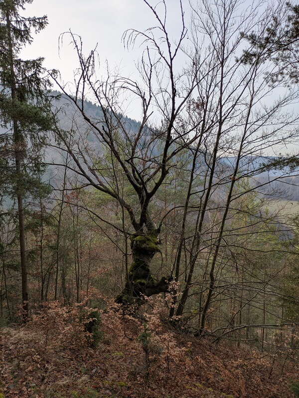 turčianska záhradka - nolčovská mogura