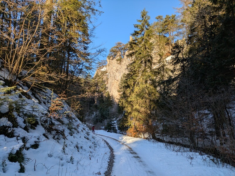 turcianska záhradka - ostrá a tlstá