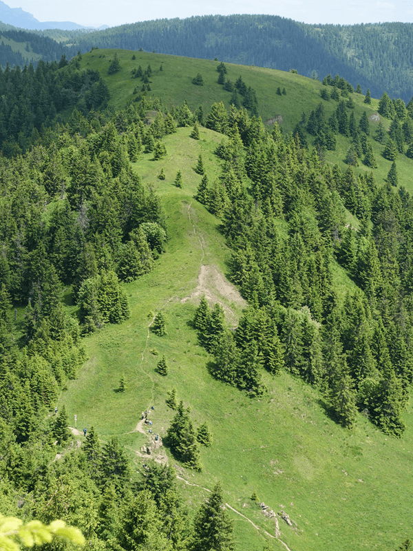 turcianska zahradka - rakytov